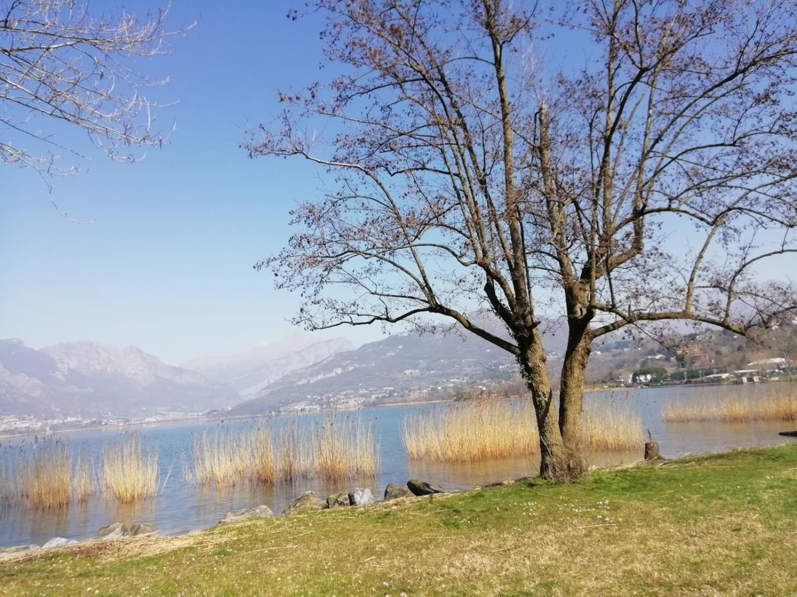 La Poesia Del Lago Oggiono Exterior foto